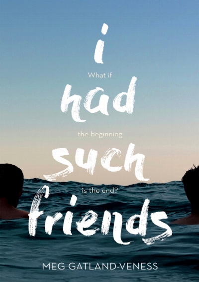 The book cover of 'I had such friends'