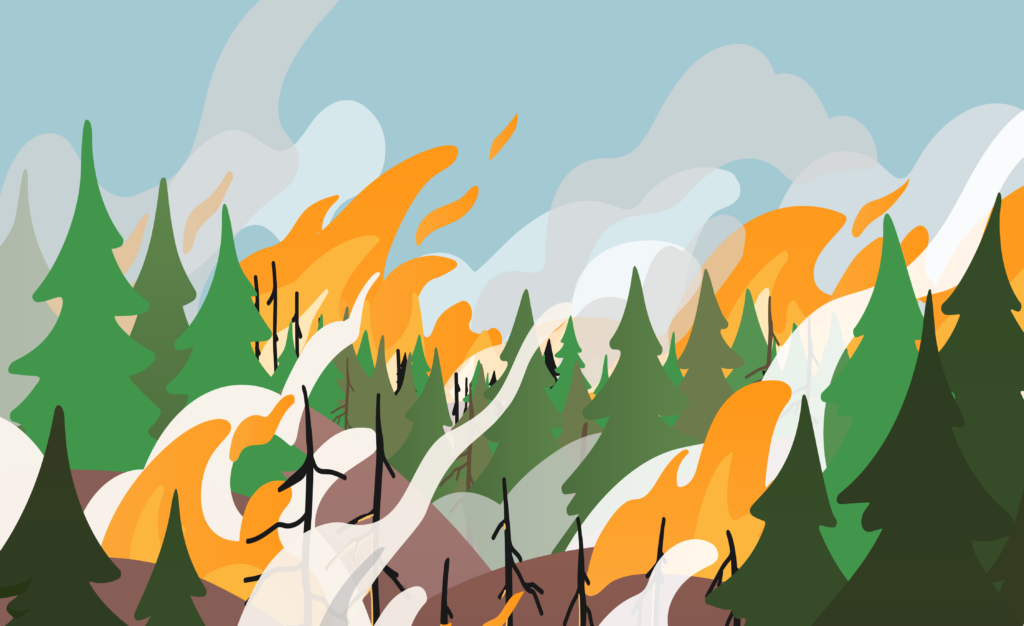 Illustration of a forest on fire