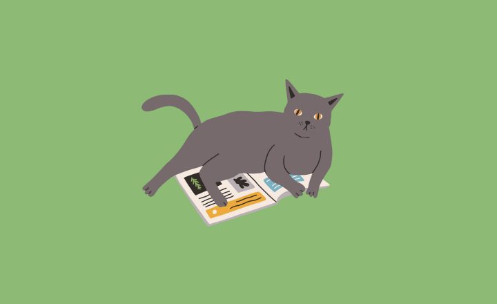 Graphic illustration of a cat laying on a newspaper