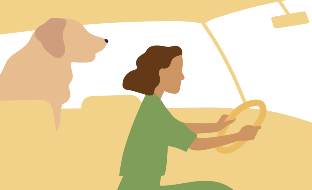 Graphic illustration of a person driving a car with a large dog in the backseat