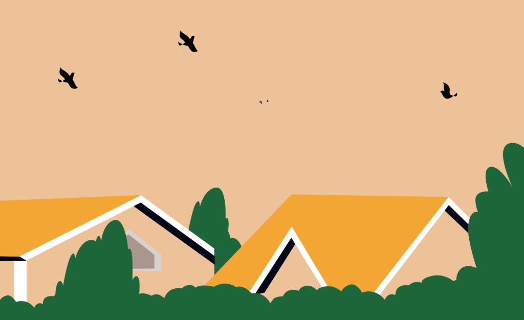 Illustration of birds flying above rooftops
