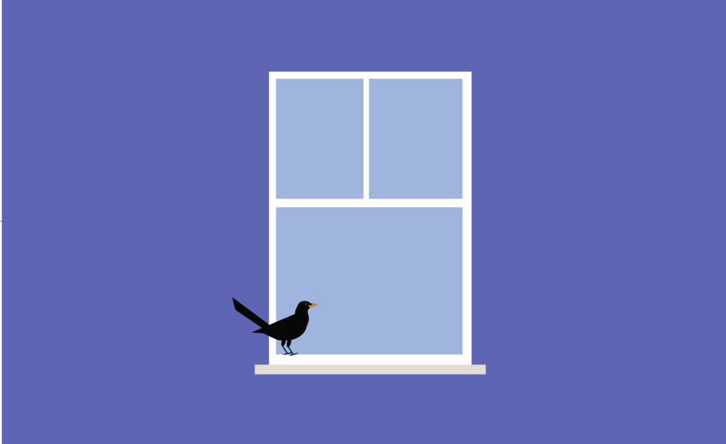 Illustration of a small black bird sitting on a window sill