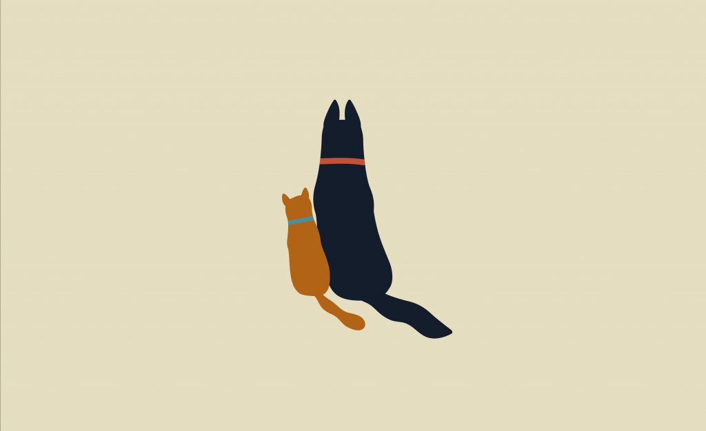 An illustration of a cat and a dog sitting side by side and facing away from the viewer. They look like close friends.