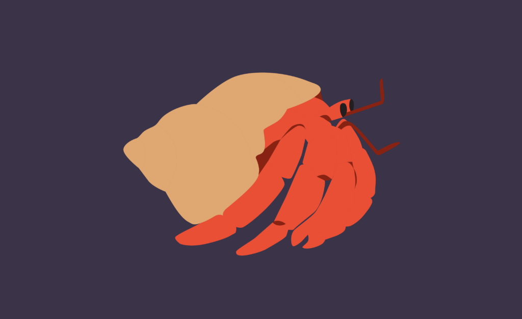 Illustration of a hermit crab